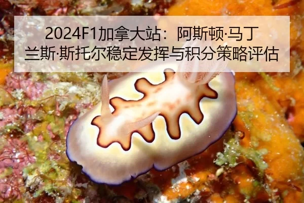 jia-na-da-zhan-a-si-dun-ma-ding-lan-si-si-tuo-er-wen-ding-fa-hui-yu-ji-fen-ce-lve-ping-gu-2-301.jpg