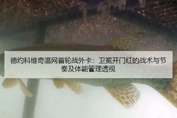 de-yue-ke-wei-qi-wen-wang-shou-lun-zhan-wai-ka-wei-mian-kai-men-hong-de-zhan-shu-yu-jie-zou-ji-ti-neng-guan-li-tou-shi-2-265.jpg
